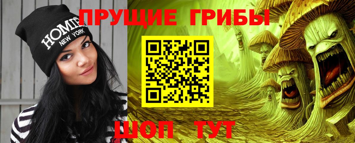 Сухой Лог  Псилоцибиновые грибы GOLDEN TEACHER  Вход с VPN 
