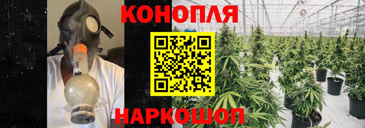 Шишки марихуана план Сухой Лог